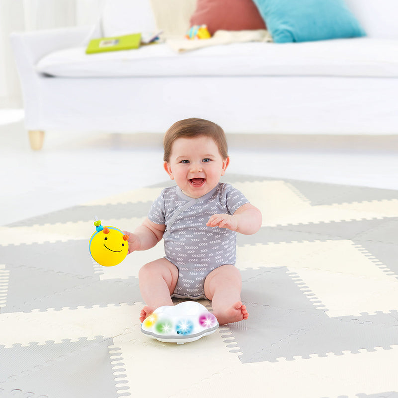 Explore & More - Follow Bee Crawl Toy