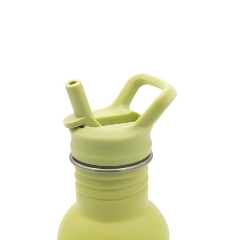 Sassi Stainless Steel Drink Bottle 500ml - Cracky the Dinosaur