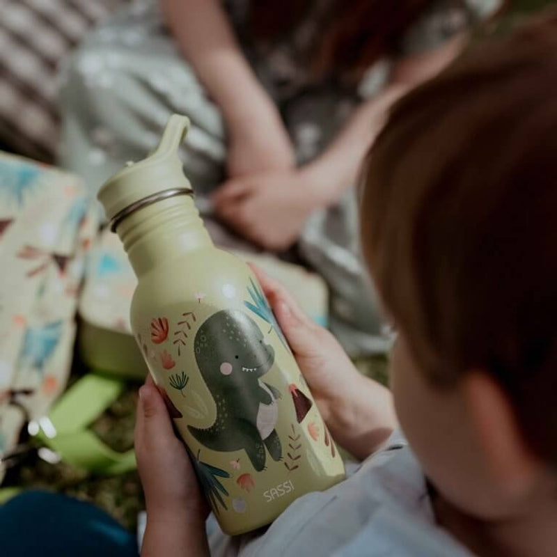 Sassi Stainless Steel Drink Bottle 500ml - Cracky the Dinosaur