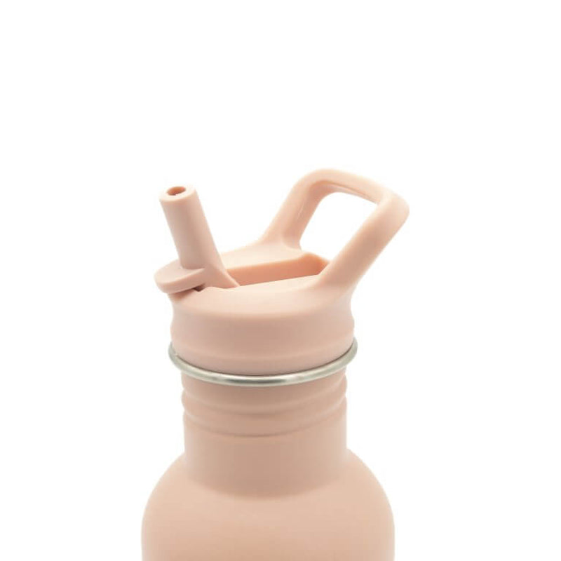 Sassi Stainless Steel Drink Bottle 500ml - Slurpy The Octopus