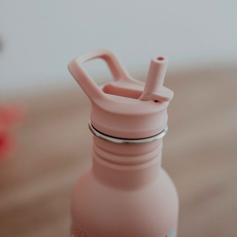 Sassi Stainless Steel Drink Bottle 500ml - Slurpy The Octopus