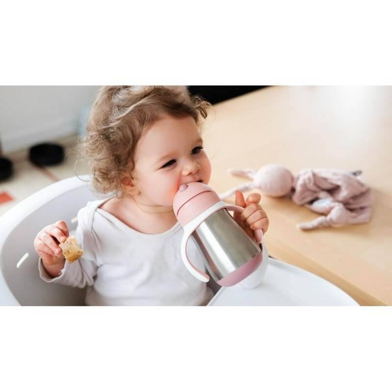 Stainless Steel Straw Cup