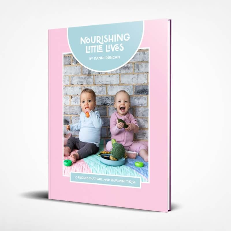 Nourishing Little Lives Book