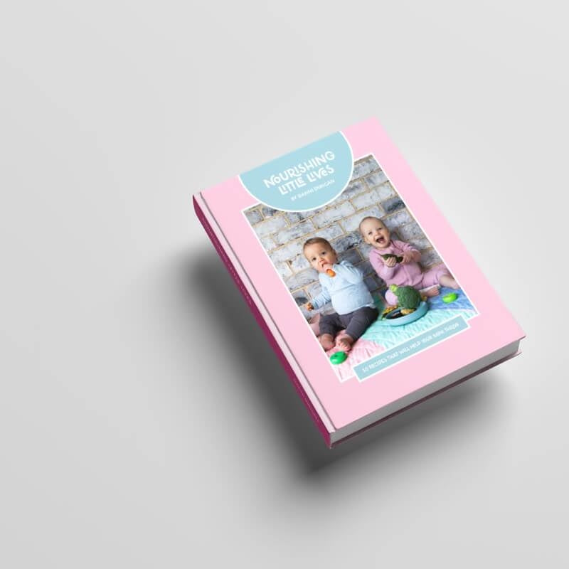 The Figure Nourishing Little Lives Book