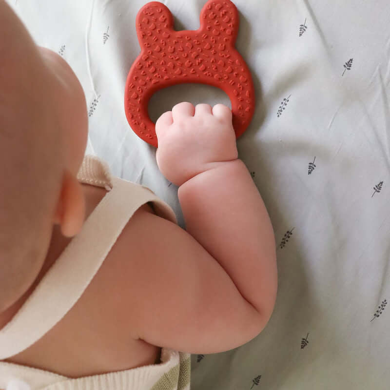 We Might Be Tiny Bunny Teether - Rust