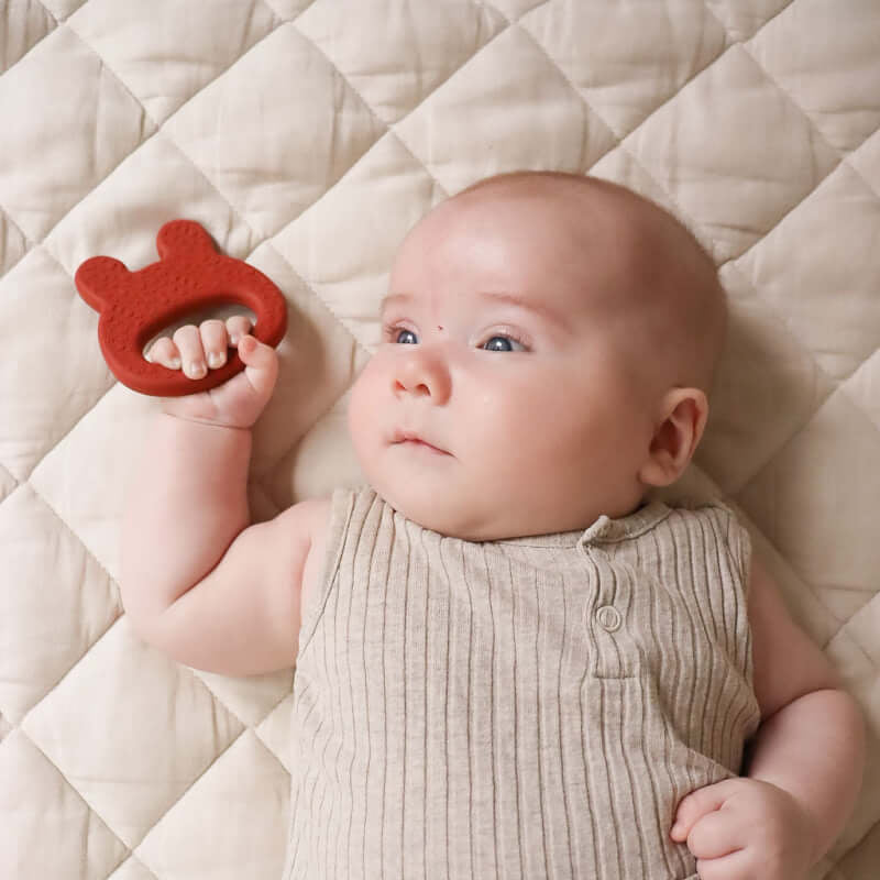 We Might Be Tiny Bunny Teether - Rust