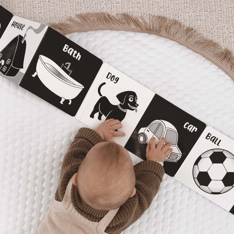 Young Wonderer Welcome To The  World Little One Book