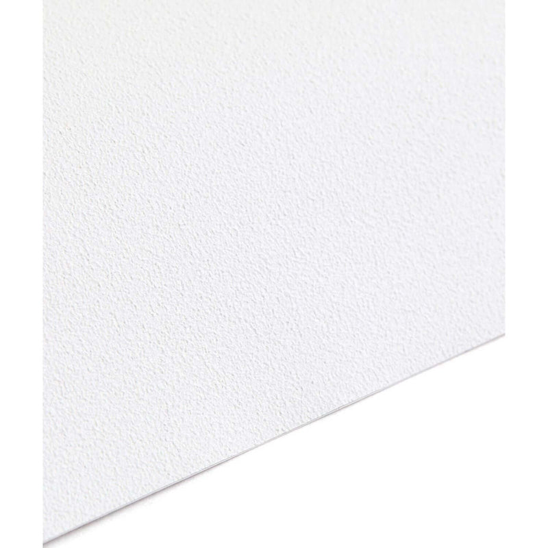 ergoPouch Window Blockout 2 Pack - White