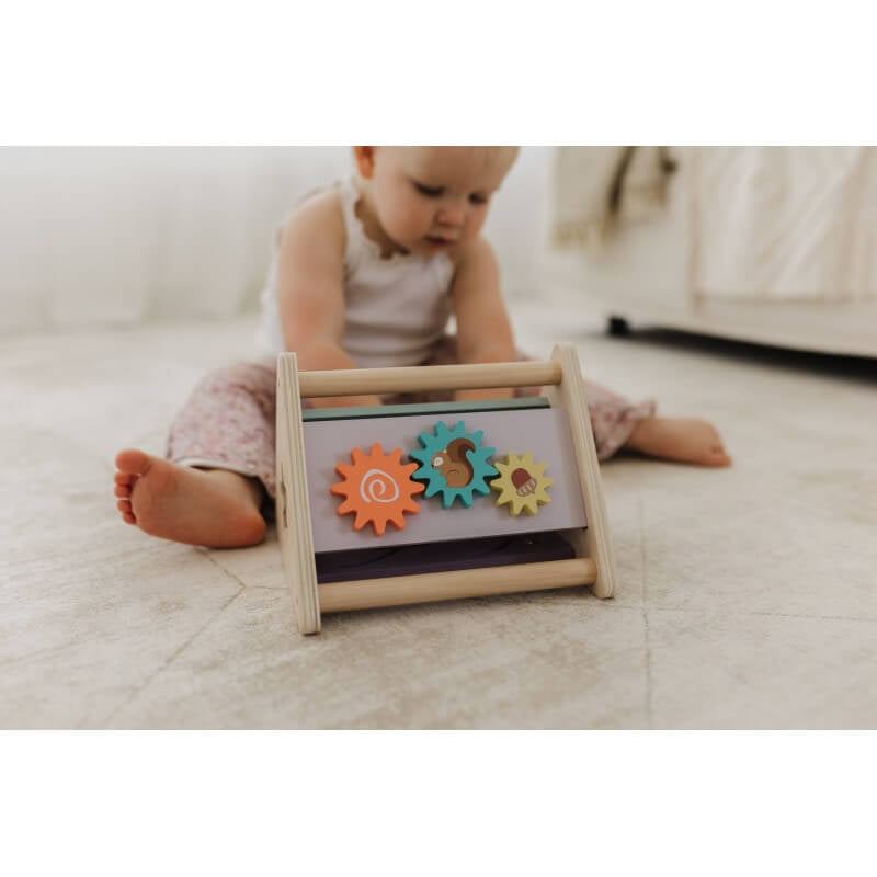 Wooden Activity Triangle