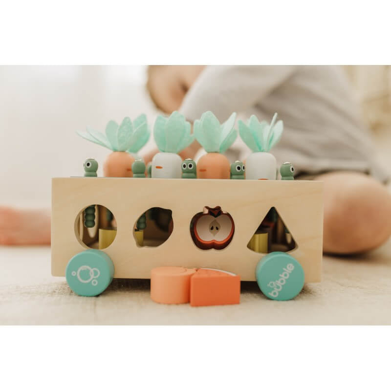 Bubble  Wooden Vegetable Garden