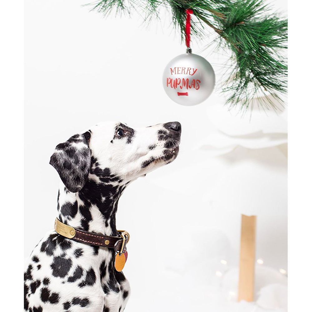 Pet Merry Pupmas Ball Ornament - Silver