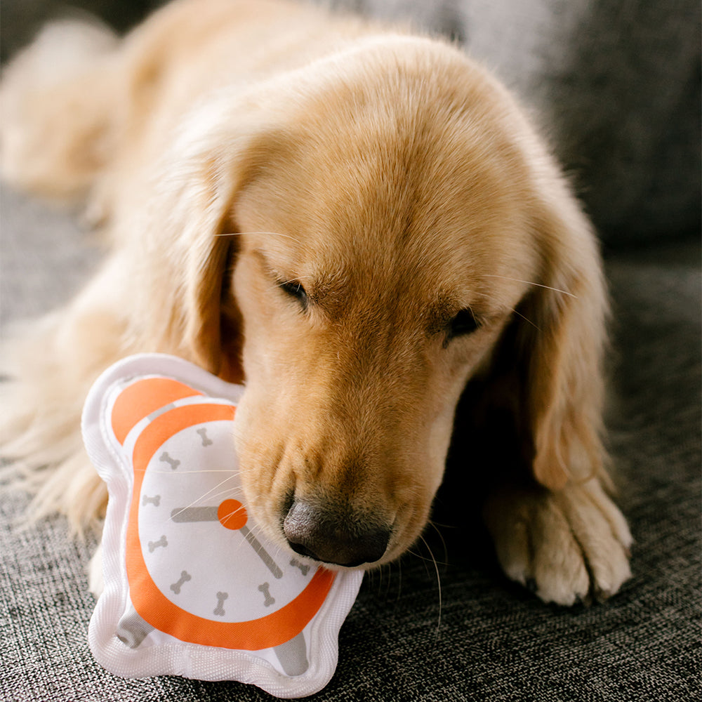 Pet My Dog is my Alarm Clock Owner & Pet Gift Set