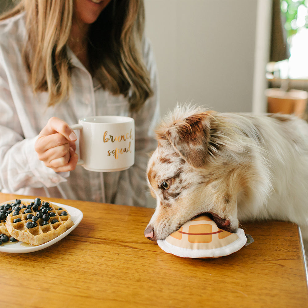 Pet Brunch Squad Owner & Pet Gift Set